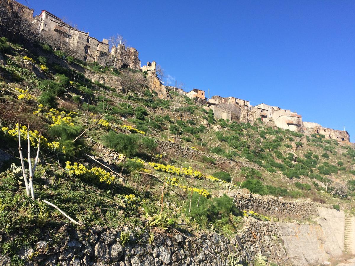 Il Girasole Hotel
